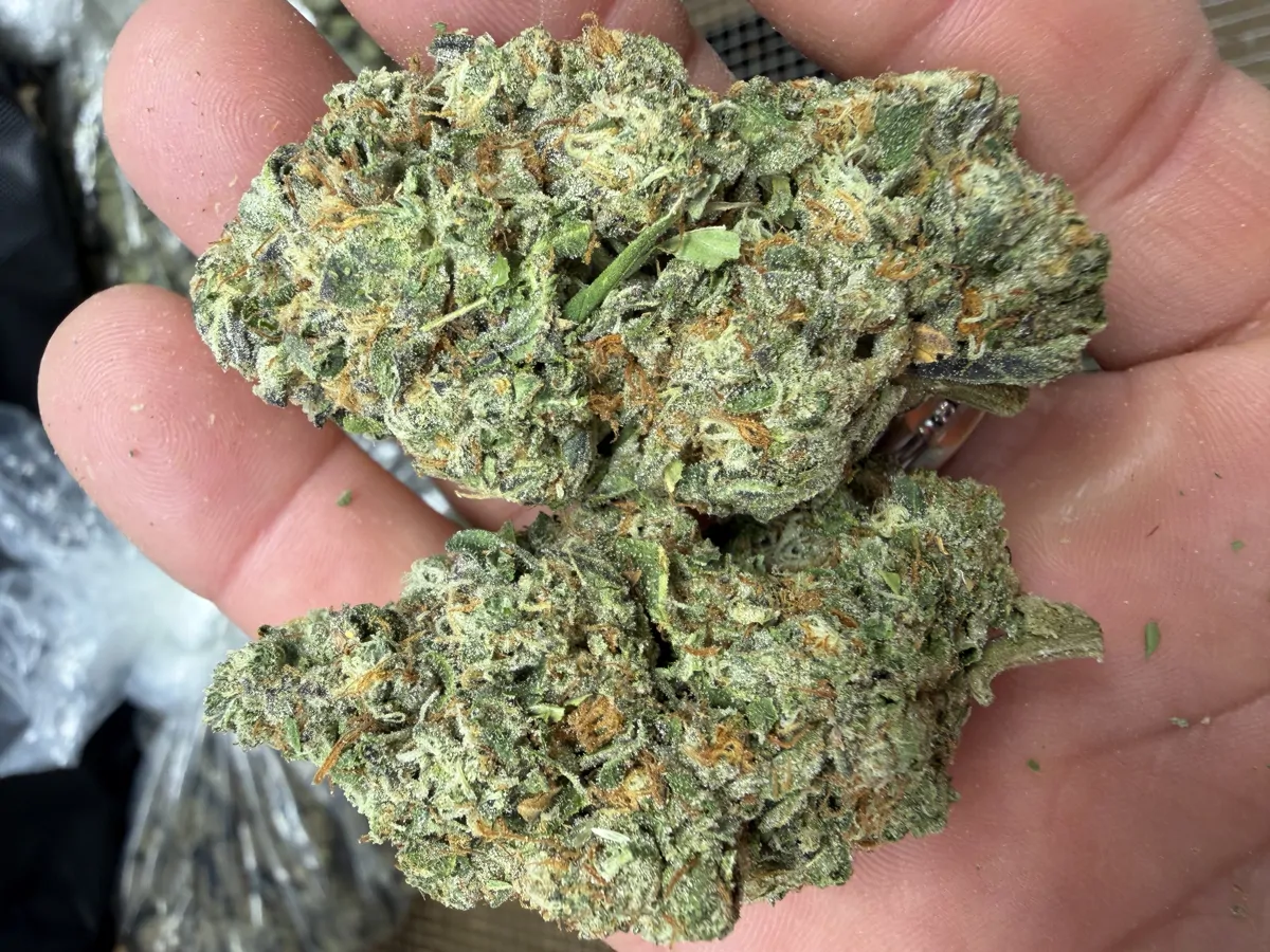 Gmo Flower